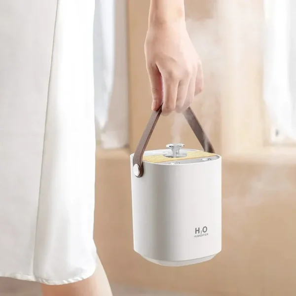 Large Capacity USB Double Spray Humidifier Portable Desk Cool Mist Mute Humidifier with Night Light for Bedroom Living Room 2